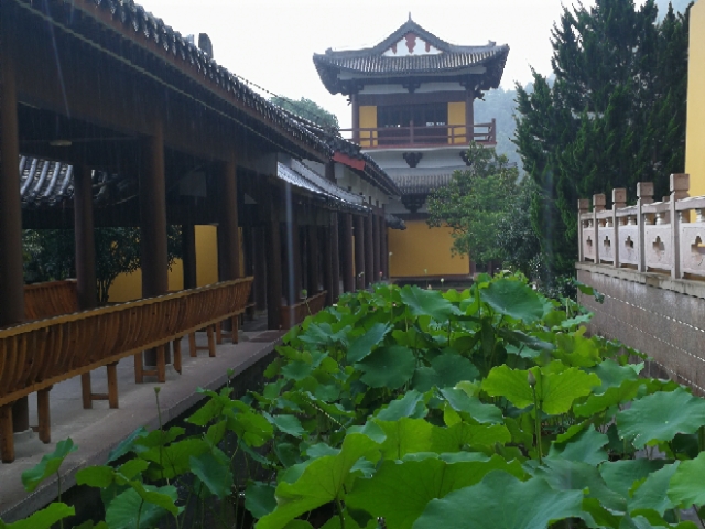 莲映古刹能仁寺(图5)