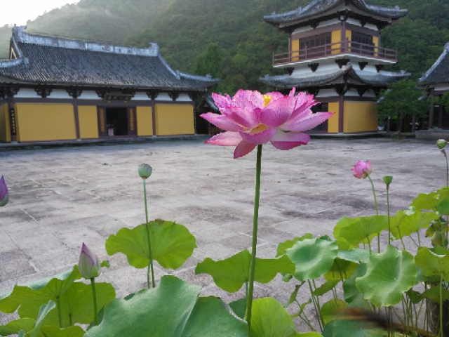 莲映古刹能仁寺(图7)